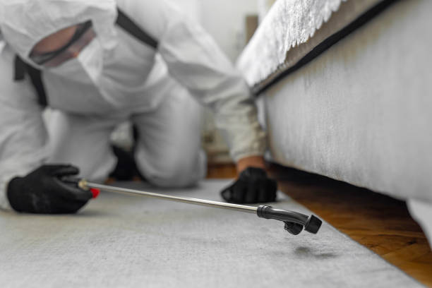 Professional Termite Control technician working in Dayton, OR