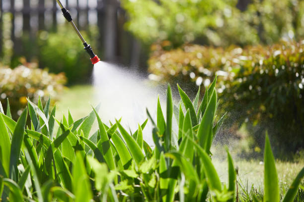 24/7 Emergency Termite Control experts in Dayton, OR
